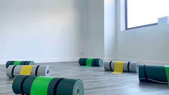 Fisioterapeuta