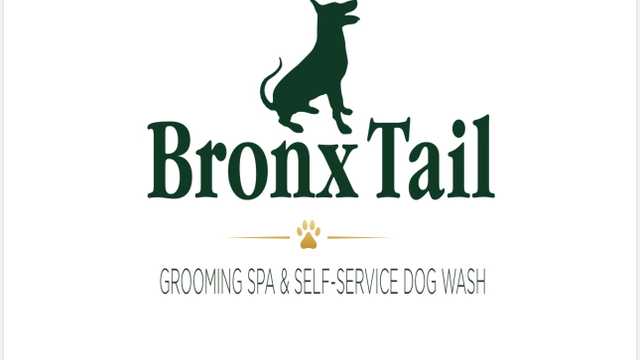 Dog Groomer