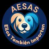 Alejandro S. avatar icon