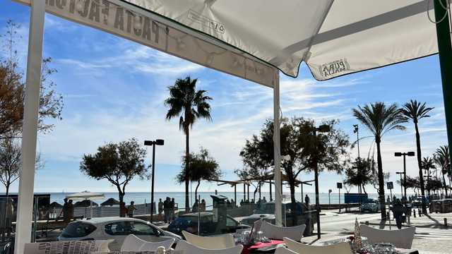 Camarero/a de Sala/Terraza