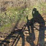 Johana V. avatar icon