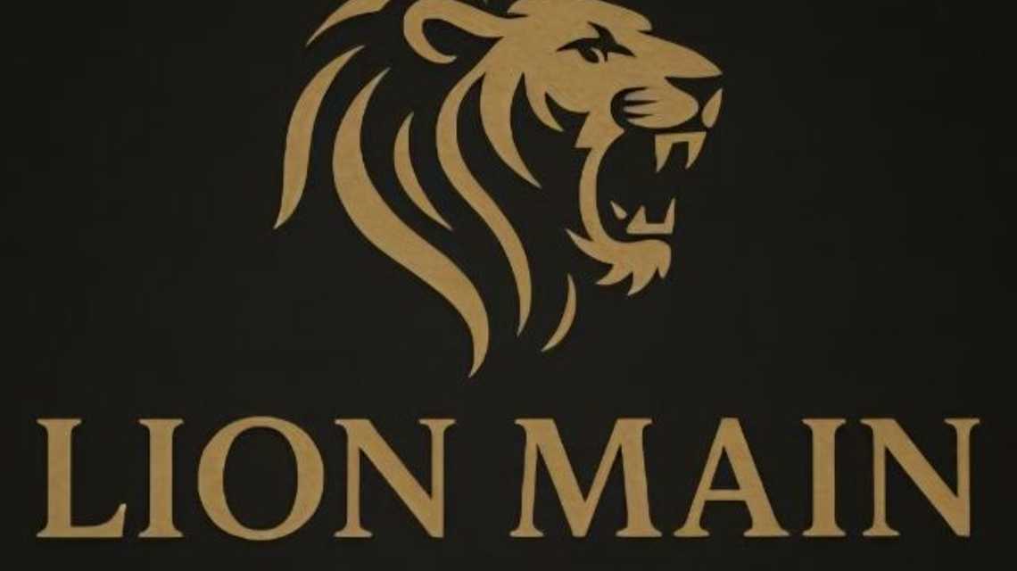 LION MAIN SECURITY LTD cover image