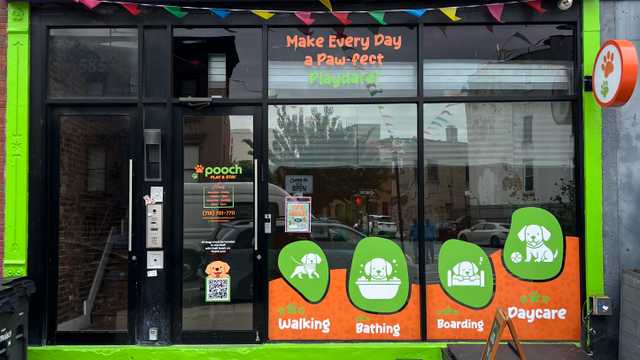 Dog Handler – Doggy Daycare