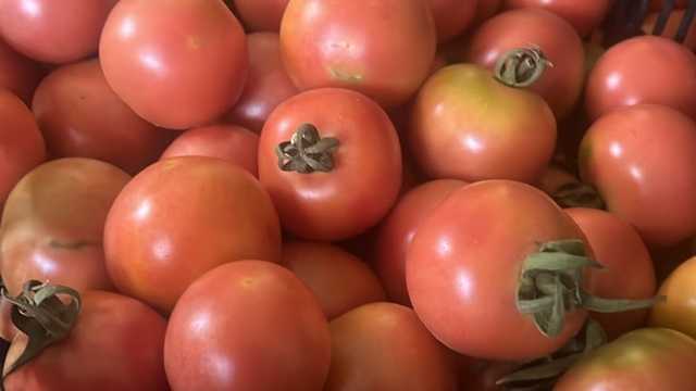 Cocinero/a