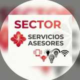 SECTOR SERVICIOS ASESORES logo