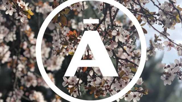 Ayudante de Camarero/a