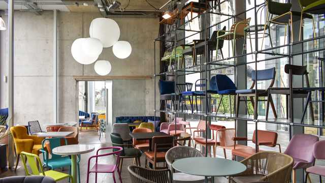 Junior Projects Assistant