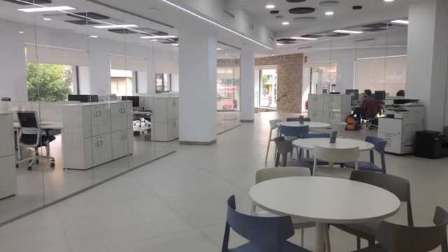 Ingeniero/a