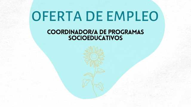 Coordinador/a
