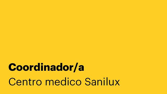 Coordinador/a