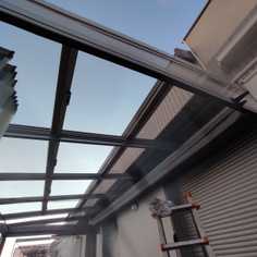 company photo