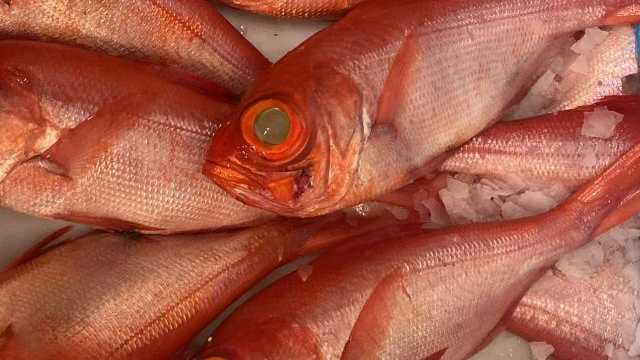 Cocinero/a
