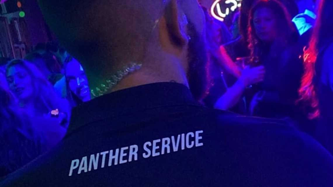 Panther Service cover image