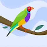 MCD  avatar icon