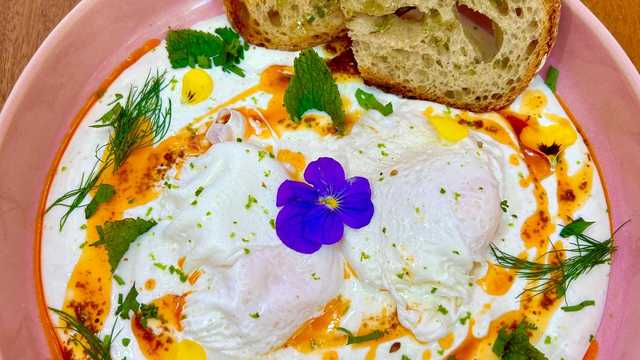 Cocinero/a