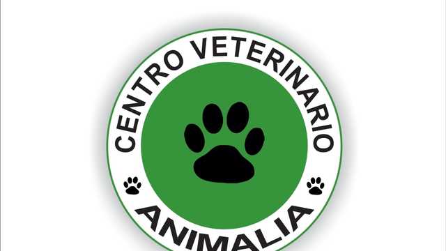 Veterinario/a