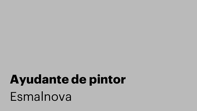 Ayudante de pintor