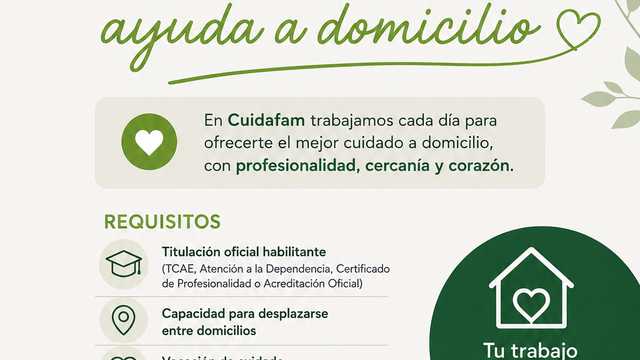Auxiliar de Ayuda a Domicilio