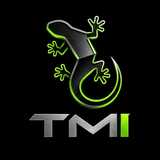 TMI System logo