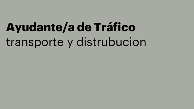 Ayudante/a de Tráfico