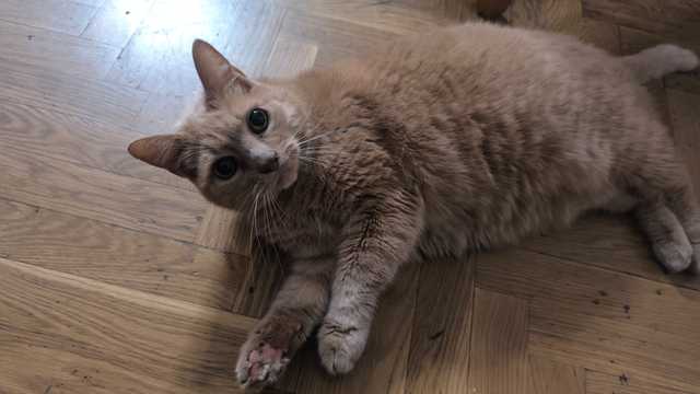 Empleado/a del Hogar