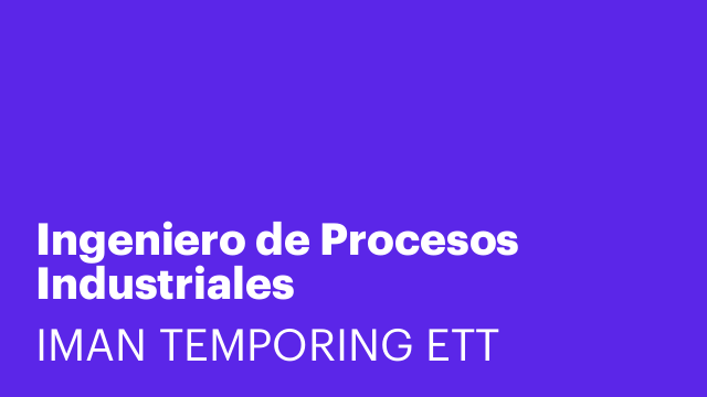 Ingeniero de Procesos Industriales