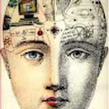 Park Slope Tutoring L. avatar icon