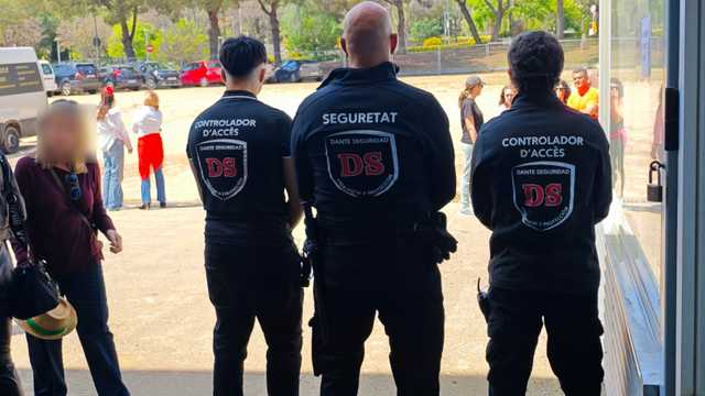 Técnico en sistemas de seguridad