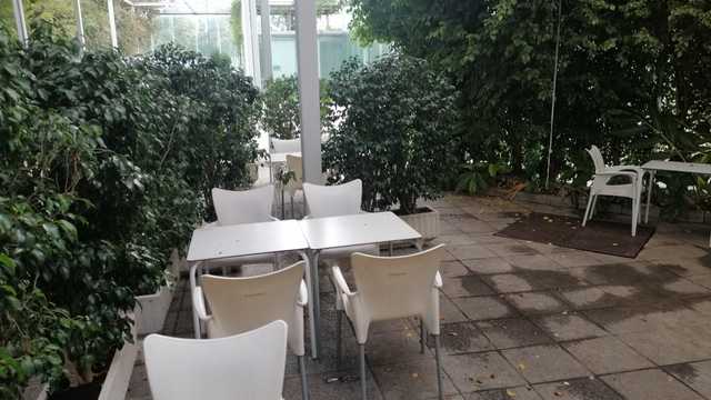 Ayudante de Camarero/a