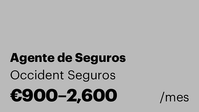 Agente de Seguros