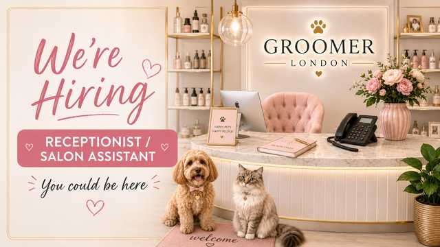 Receptionist