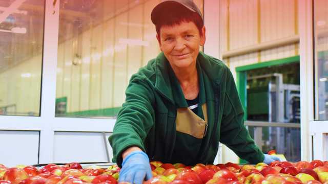 Envasadores/as CAMPAÑA cítrico
