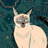 Rayad A. avatar icon