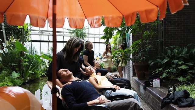 Massage Therapist