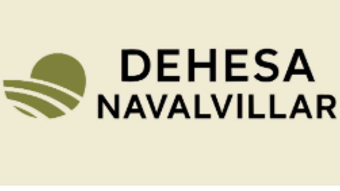 DEHESA NAVALVILLAR cover image