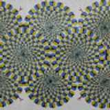 lucyna P. avatar icon