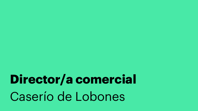 Director/a comercial