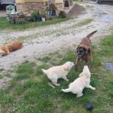 Joaquin  V. avatar icon