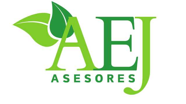 Asesor/a Comercial