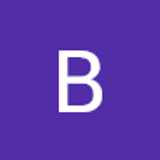 Bingo P. avatar icon