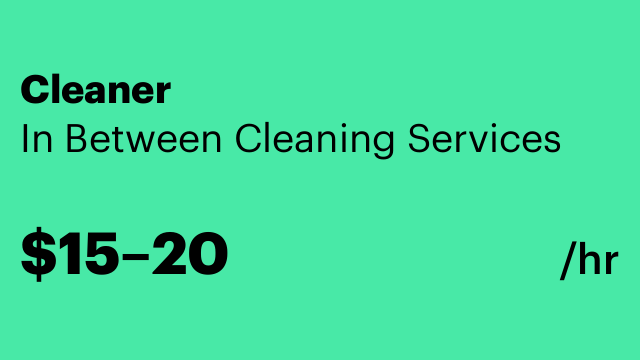 Cleaner