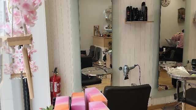 Ayudante/a de Peluquería