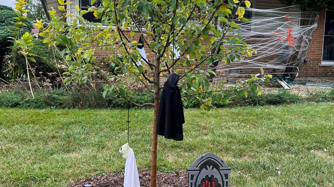 Selfcarecher cover image