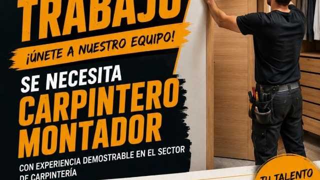 Carpintero/a Montador/a