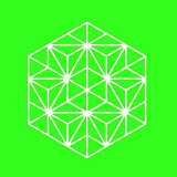 Fariña Belleza Saludable logo