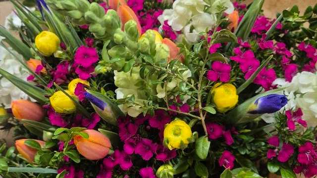 Ayudante/a de Florista