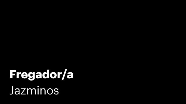 Fregador/a