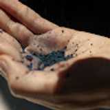 Tintoremus  avatar icon