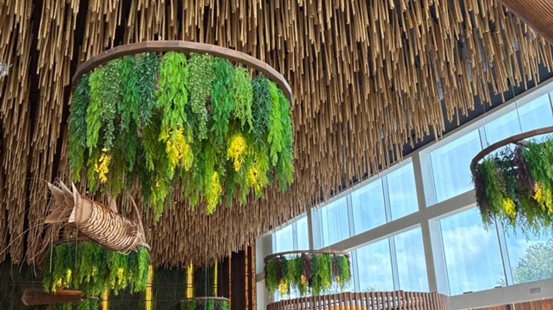 Fujimuseko cover image