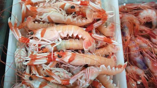 Camarero/a y Cocinero/a